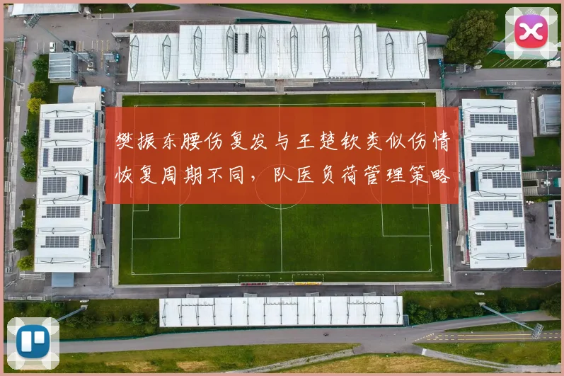 樊振东腰伤复发与王楚钦类似伤情恢复周期不同，队医负荷管理策略遭球迷炮轰